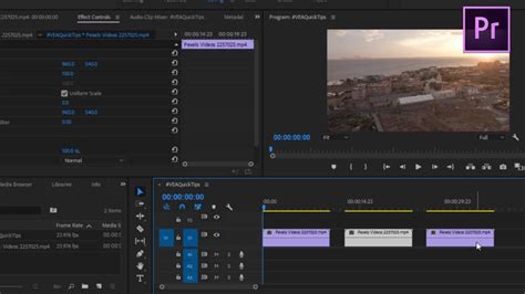 duplicate layer in premiere pro.